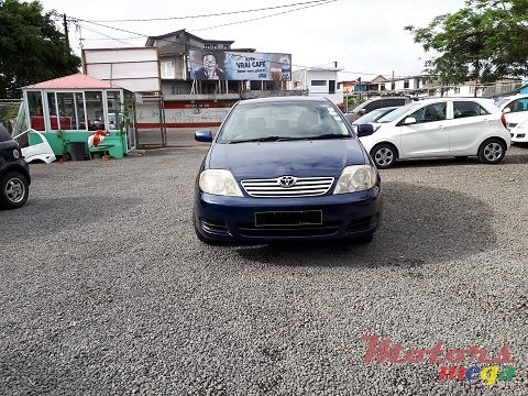 2005' Toyota Corolla NZE photo #3