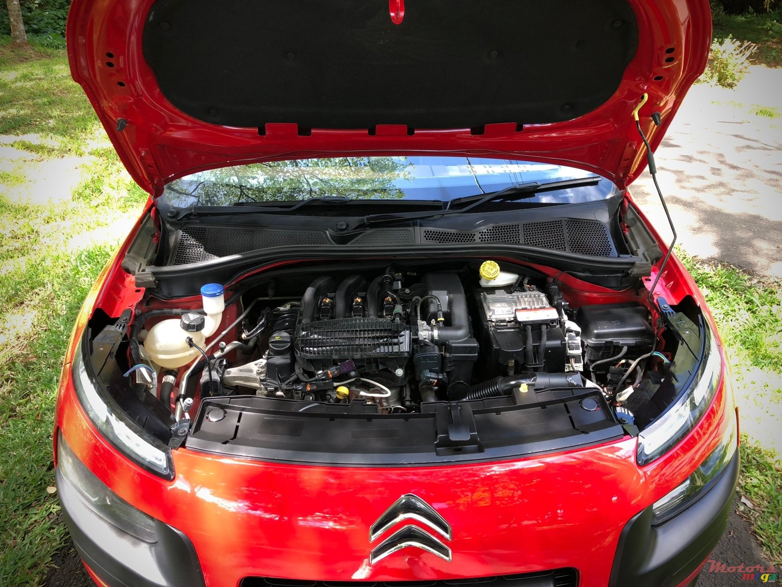 2017' Citroen C4 Cactus photo #3