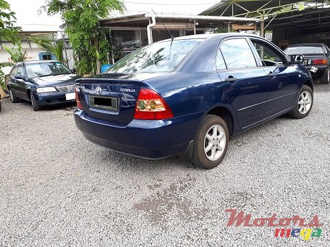 2005' Toyota Corolla NZE photo #7