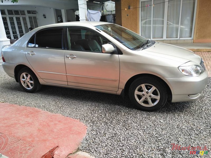 2002' Toyota Corolla NZE photo #2