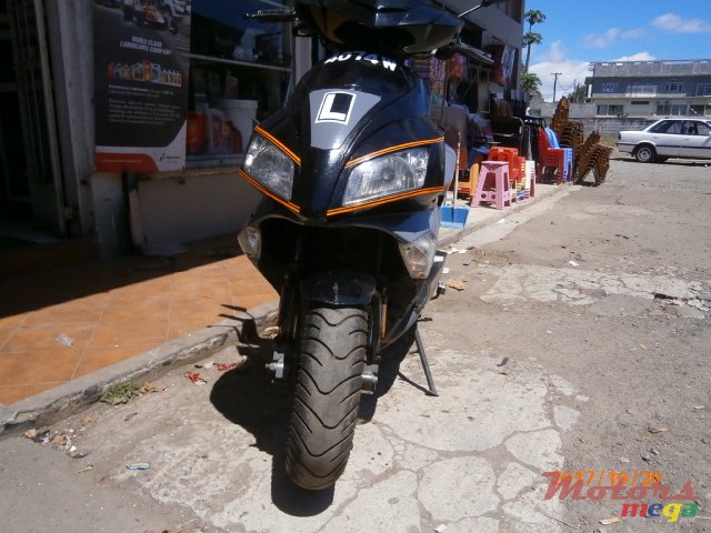 2011' Falcon baotian photo #4