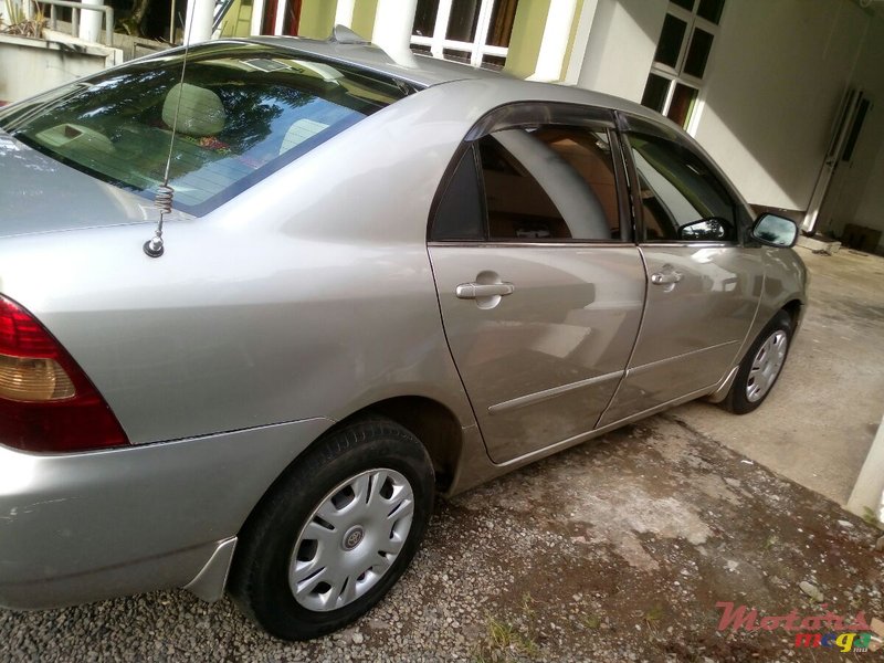 2001' Toyota Corolla NZE photo #1