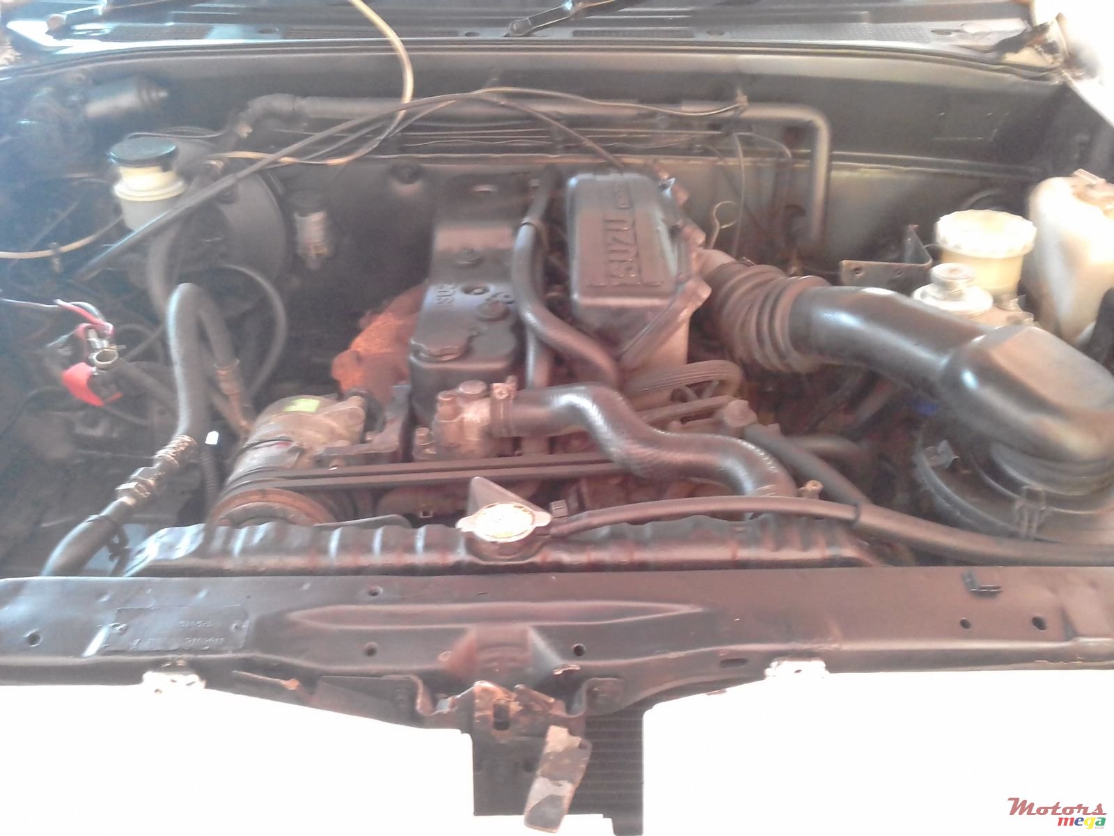 1998' Isuzu LS (Japan) 4x2 photo #4