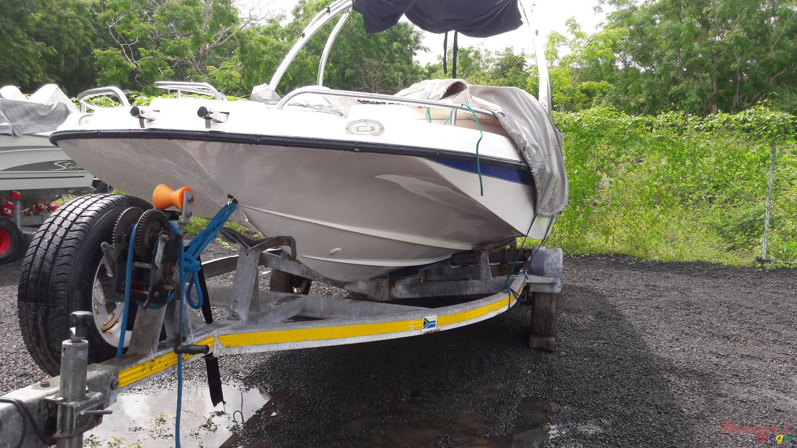 2014' Sunsation photo #4