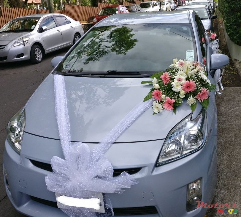 2009' Toyota Prius photo #1