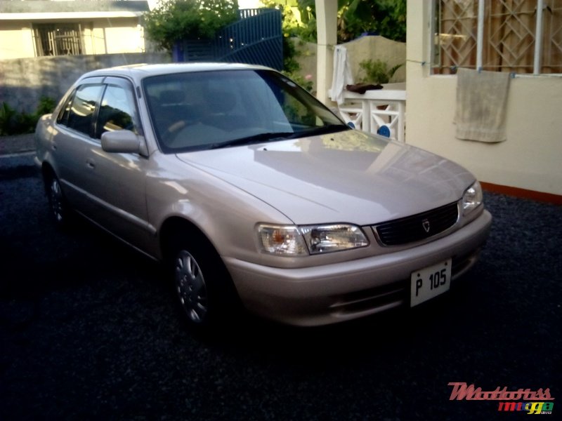 1999' Toyota Corolla photo #1