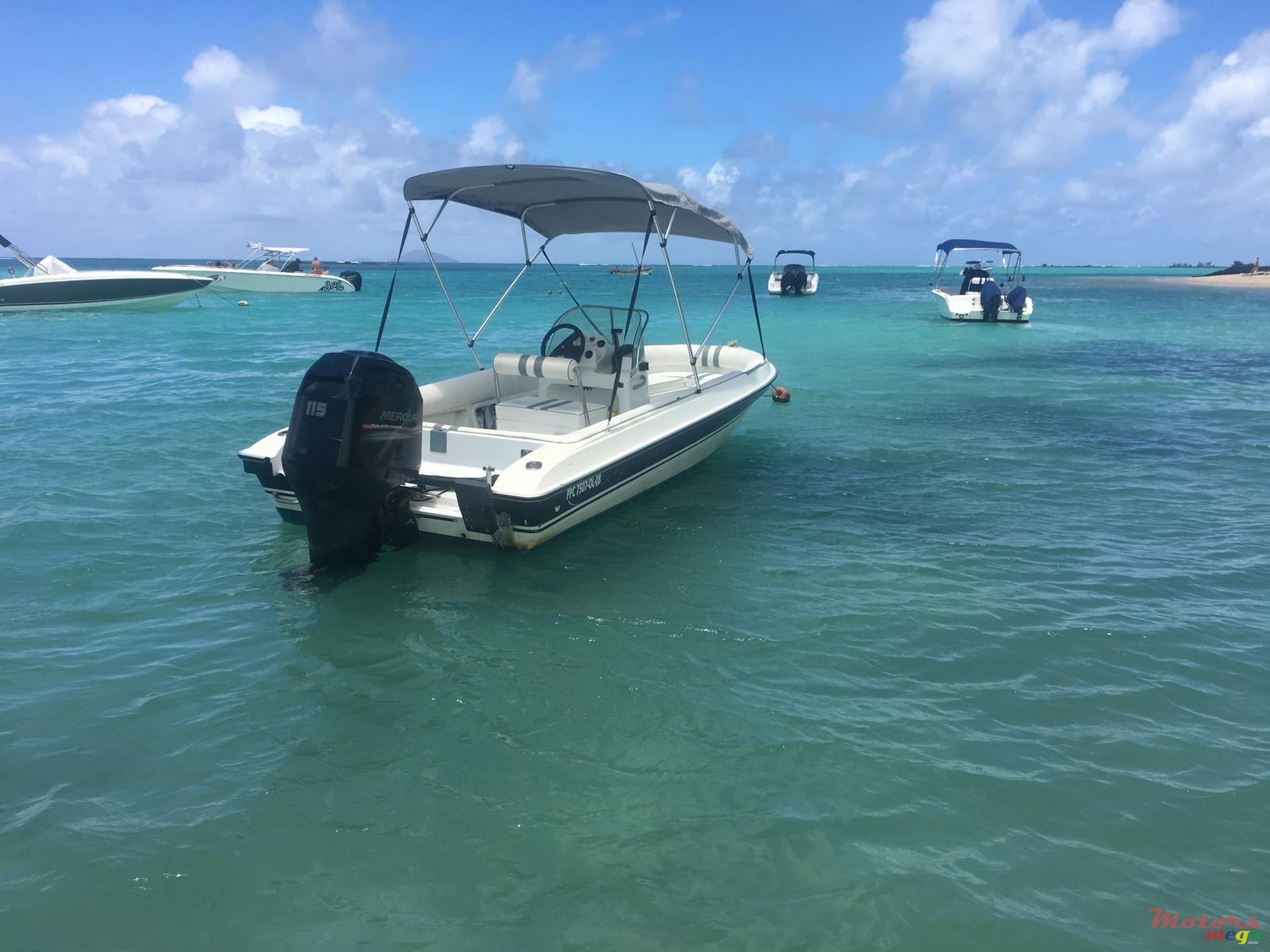 2012' Cobra photo #6