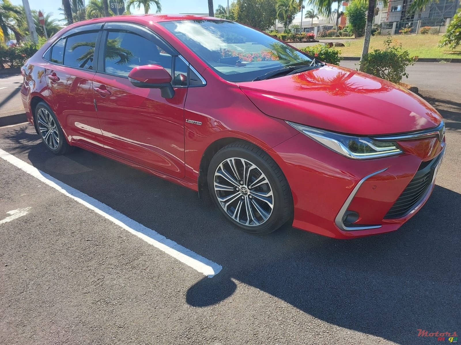 2020' Toyota Corolla photo #2