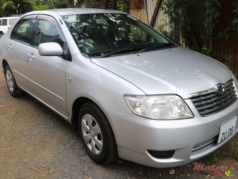 2006' Toyota Corolla NZE photo #2