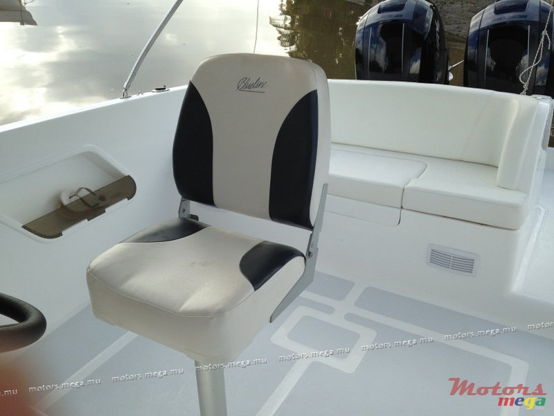 2013'  Cheeta 30" photo #5