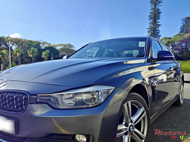 2014' BMW 316 photo #2