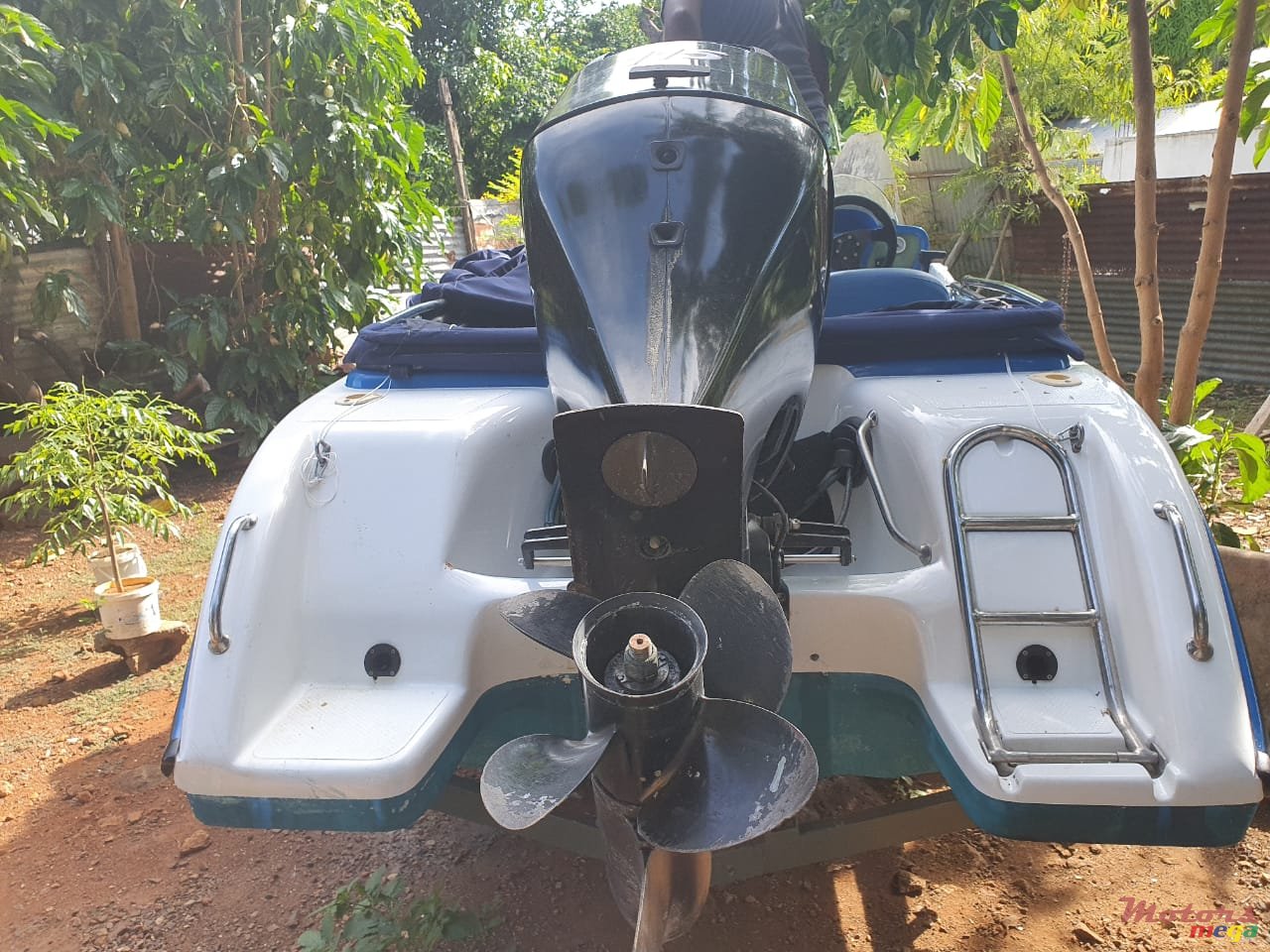 2013' Cobra photo #5