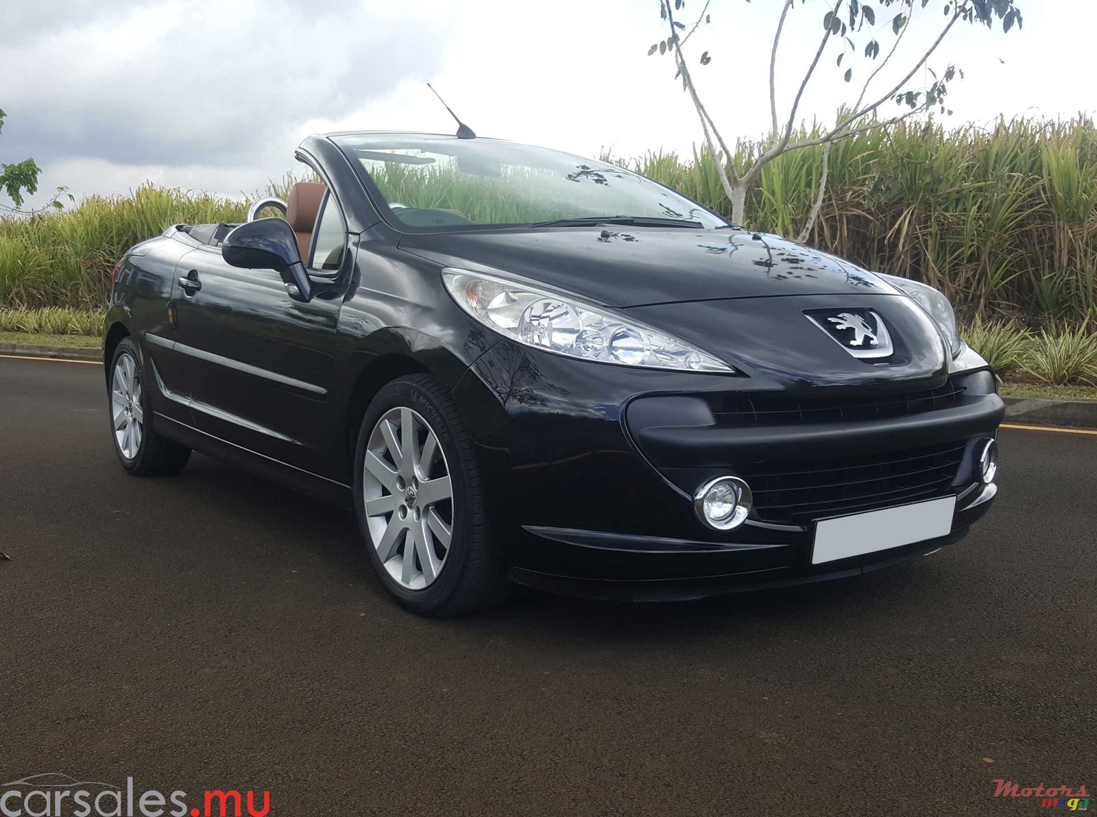 2009' Peugeot 207 photo #1