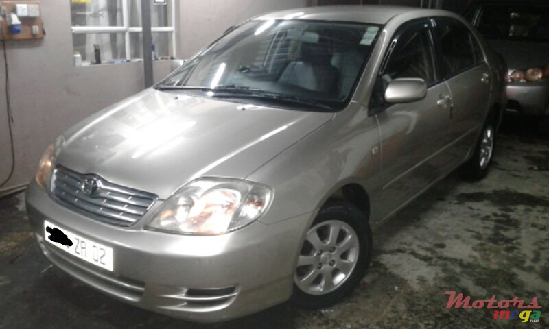 2002' Toyota Corrolla NZE photo #2