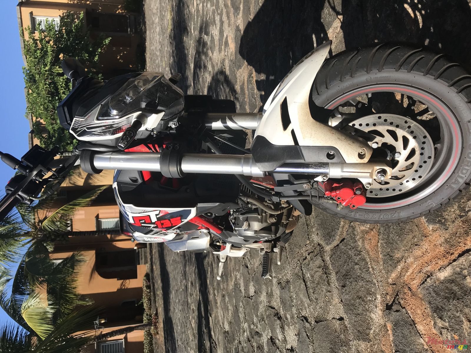 2017' Benelli photo #3