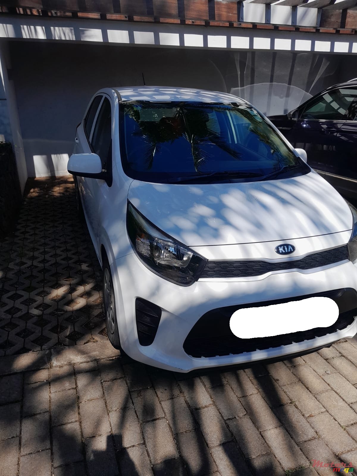 2021' Kia Picanto photo #1