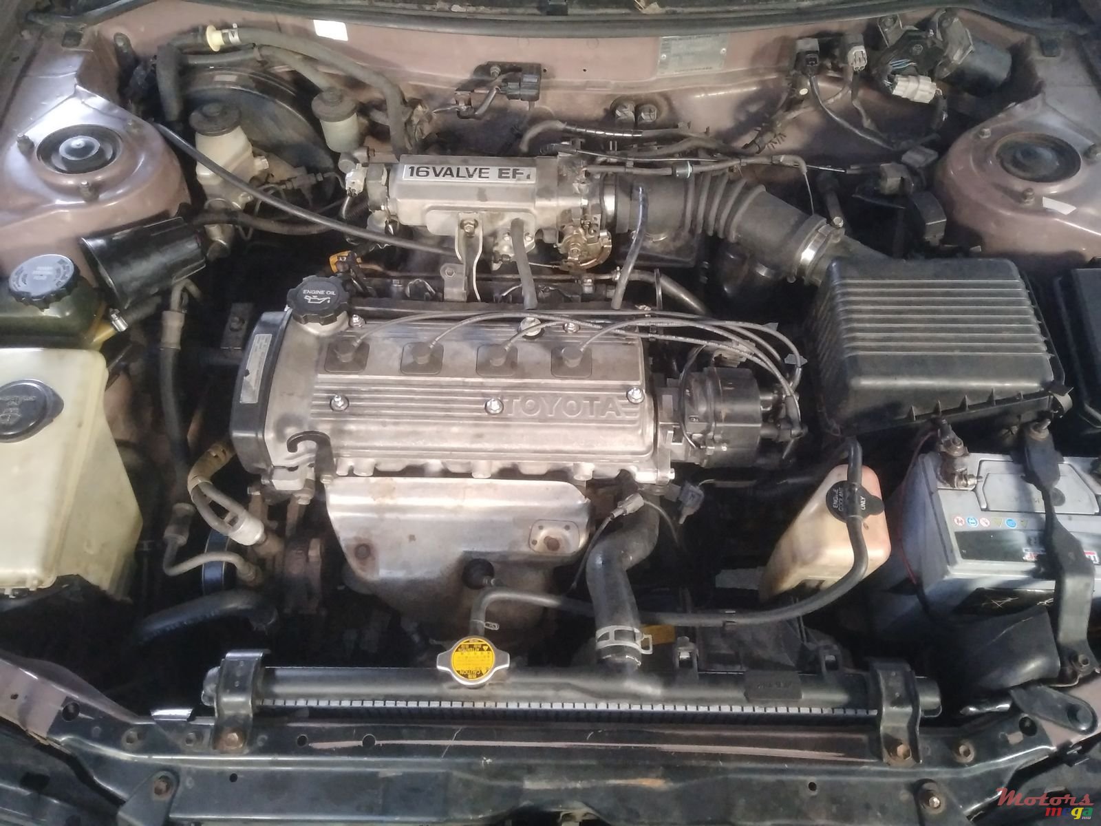 1991' Toyota Corolla photo #2