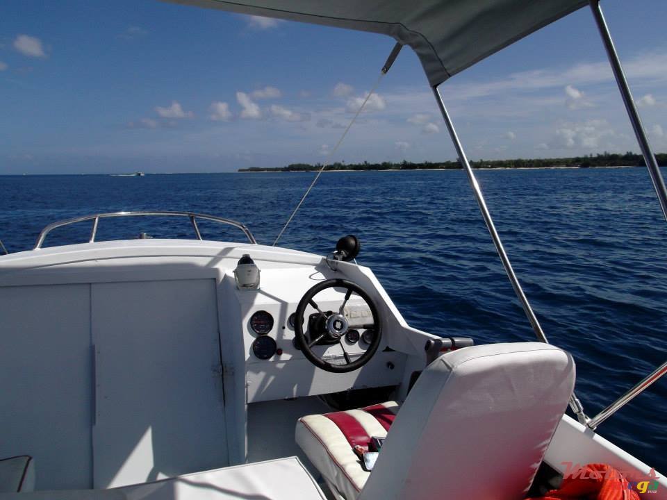 2008' Tremlett photo #3