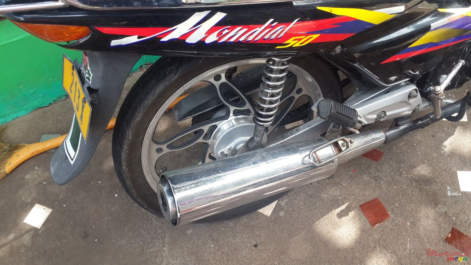 2013' Ayusta photo #1