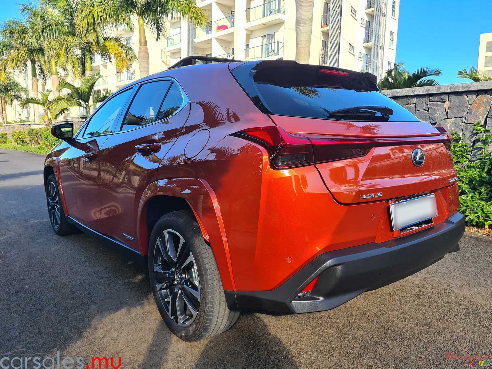 2021' Lexus UX 250h AWD photo #4