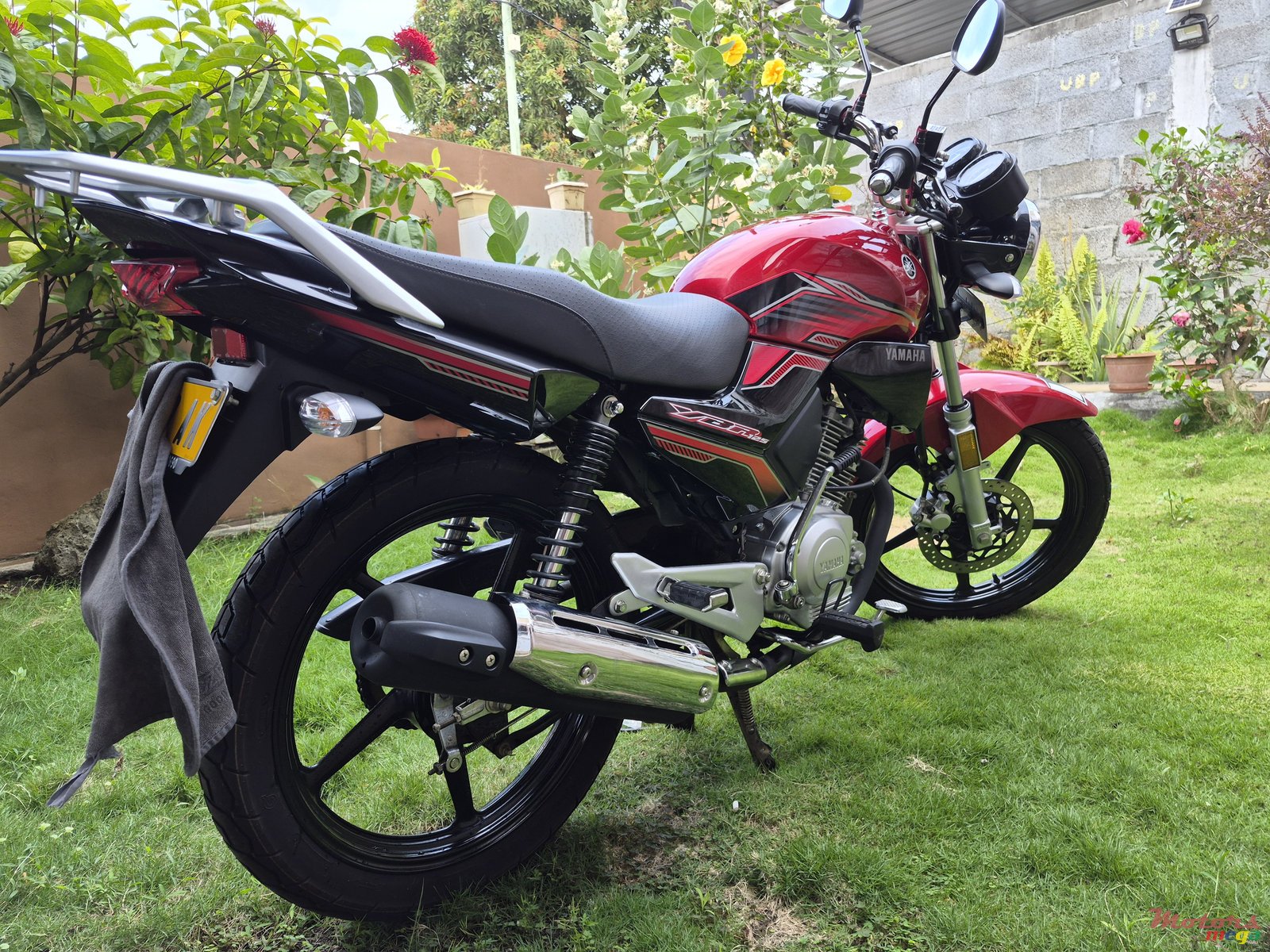 2024' Yamaha photo #2