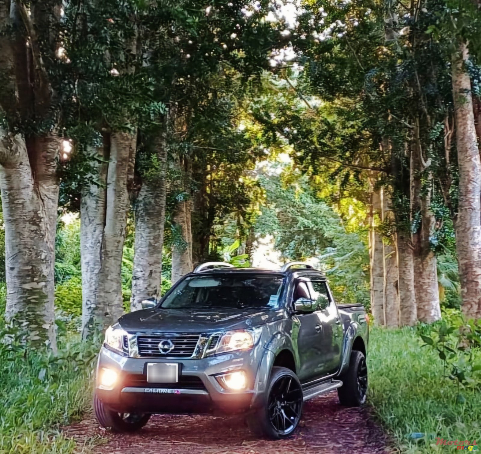2019' Nissan Navara photo #3