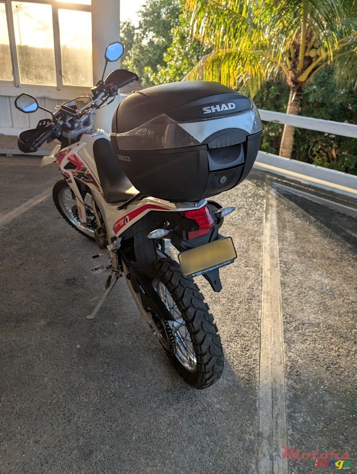 2025' Loncin photo #4
