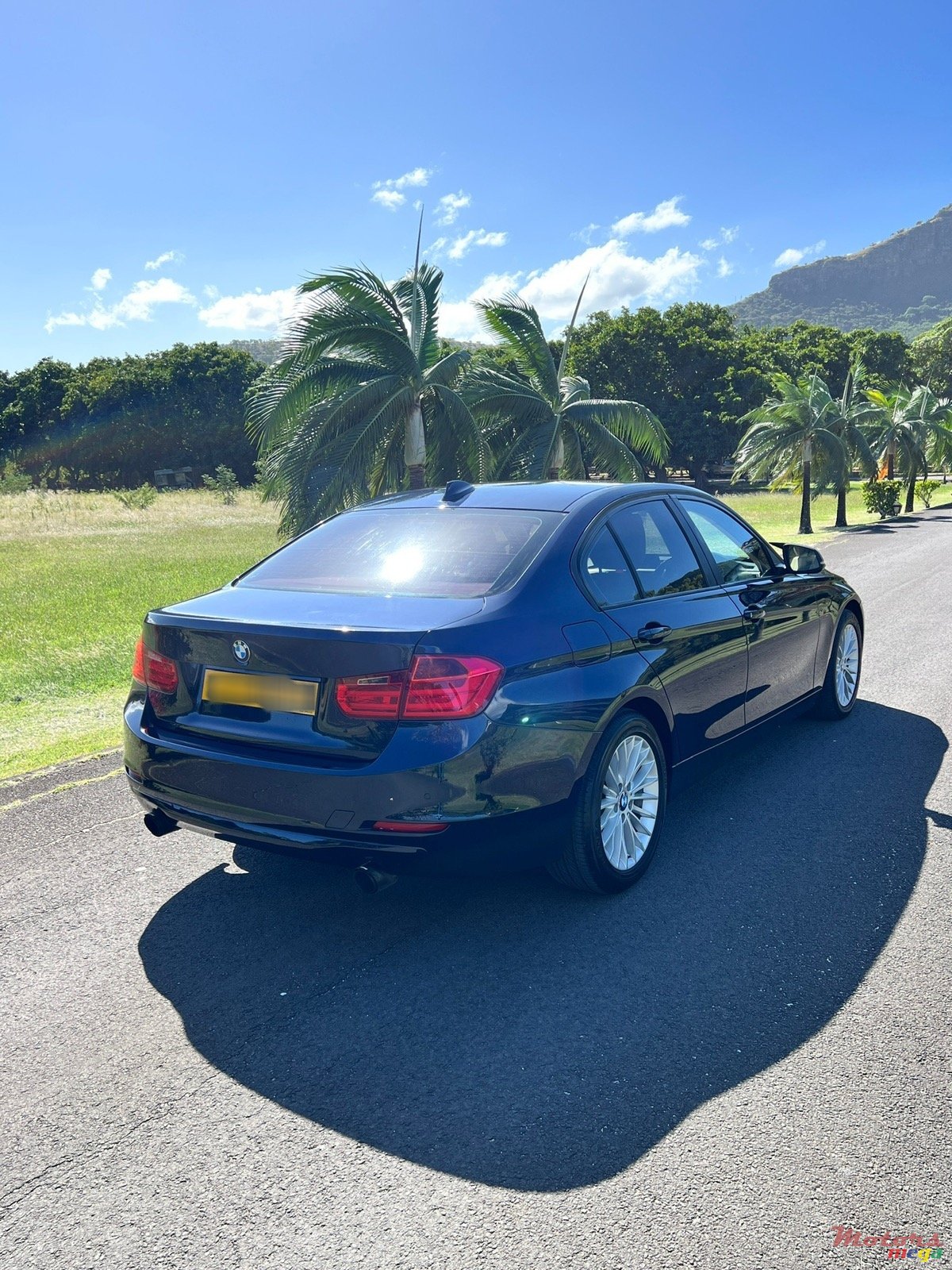 2013' BMW 316 photo #4