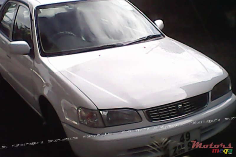 1999' Toyota Corolla photo #1