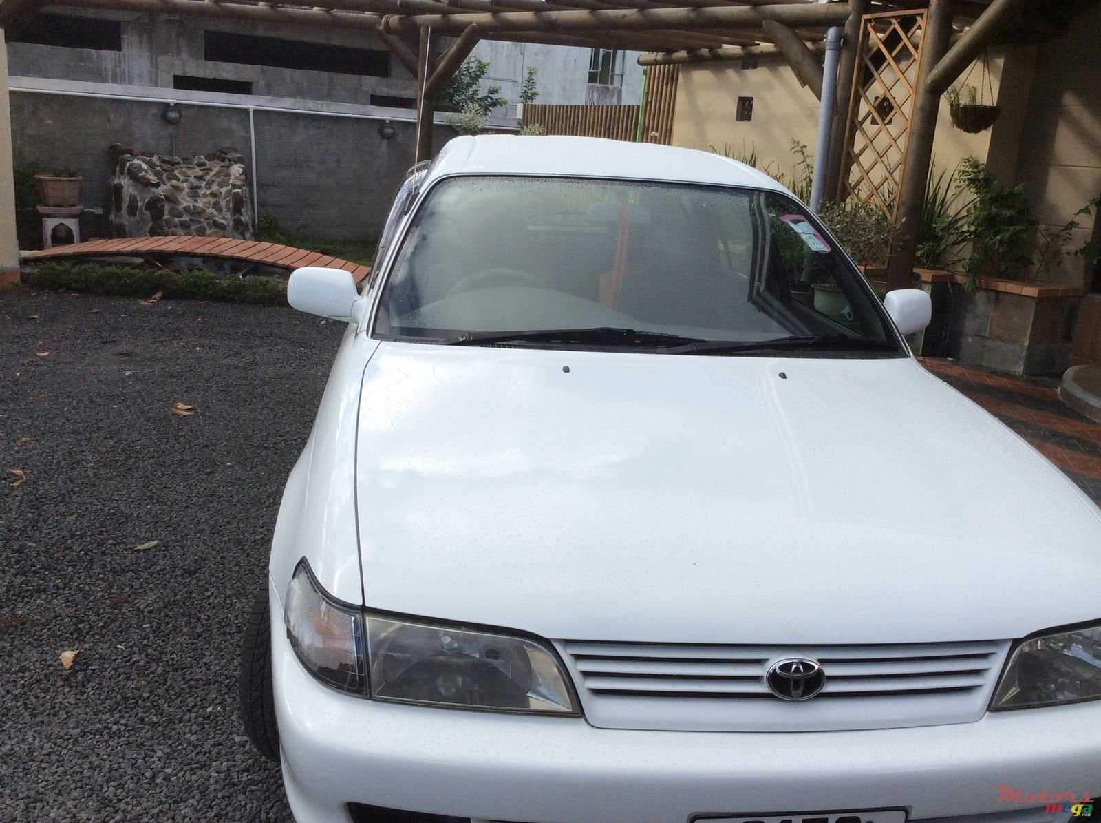 1998' Toyota Corolla photo #1