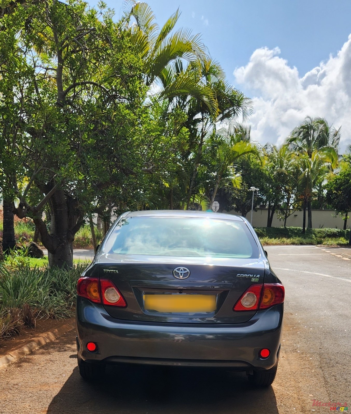 2009' Toyota Corolla photo #3