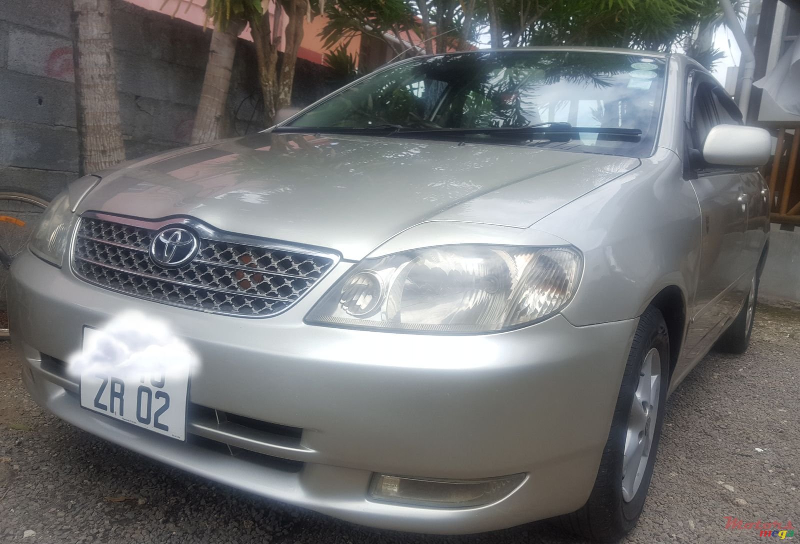 2002' Toyota Corolla photo #2