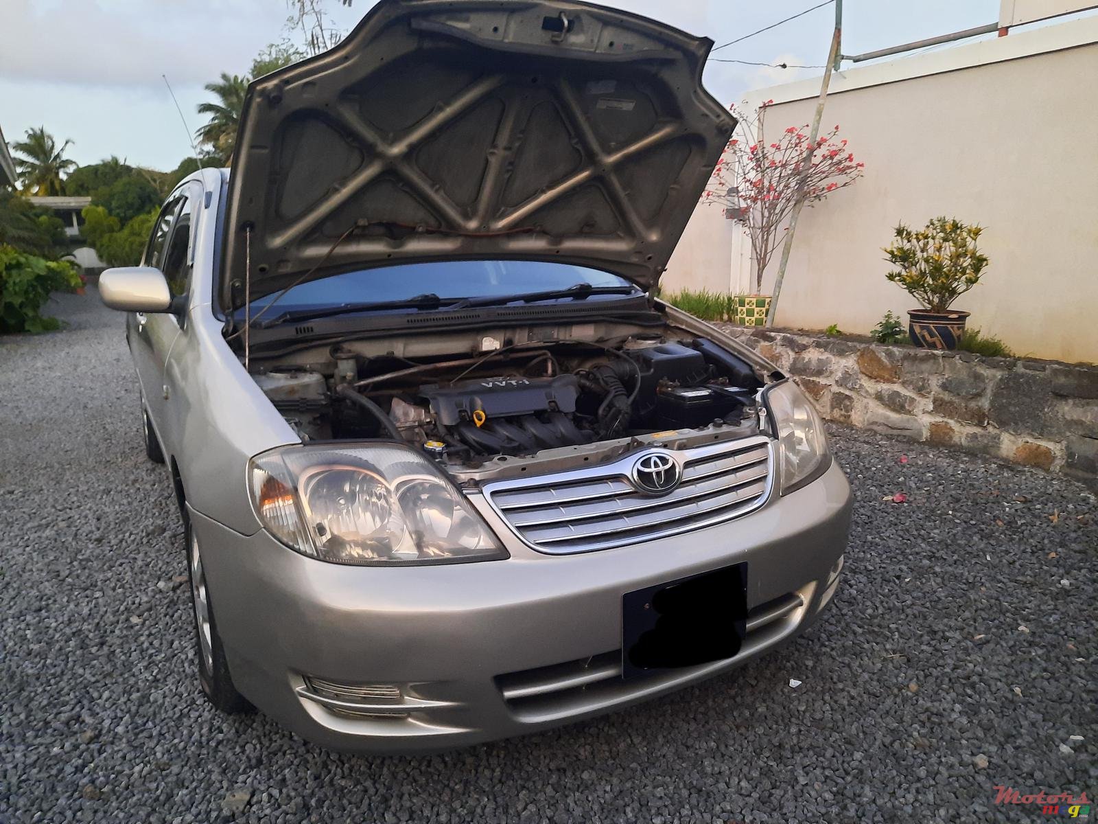 2002' Toyota Corolla photo #3