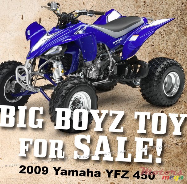 2009' Yamaha photo #1