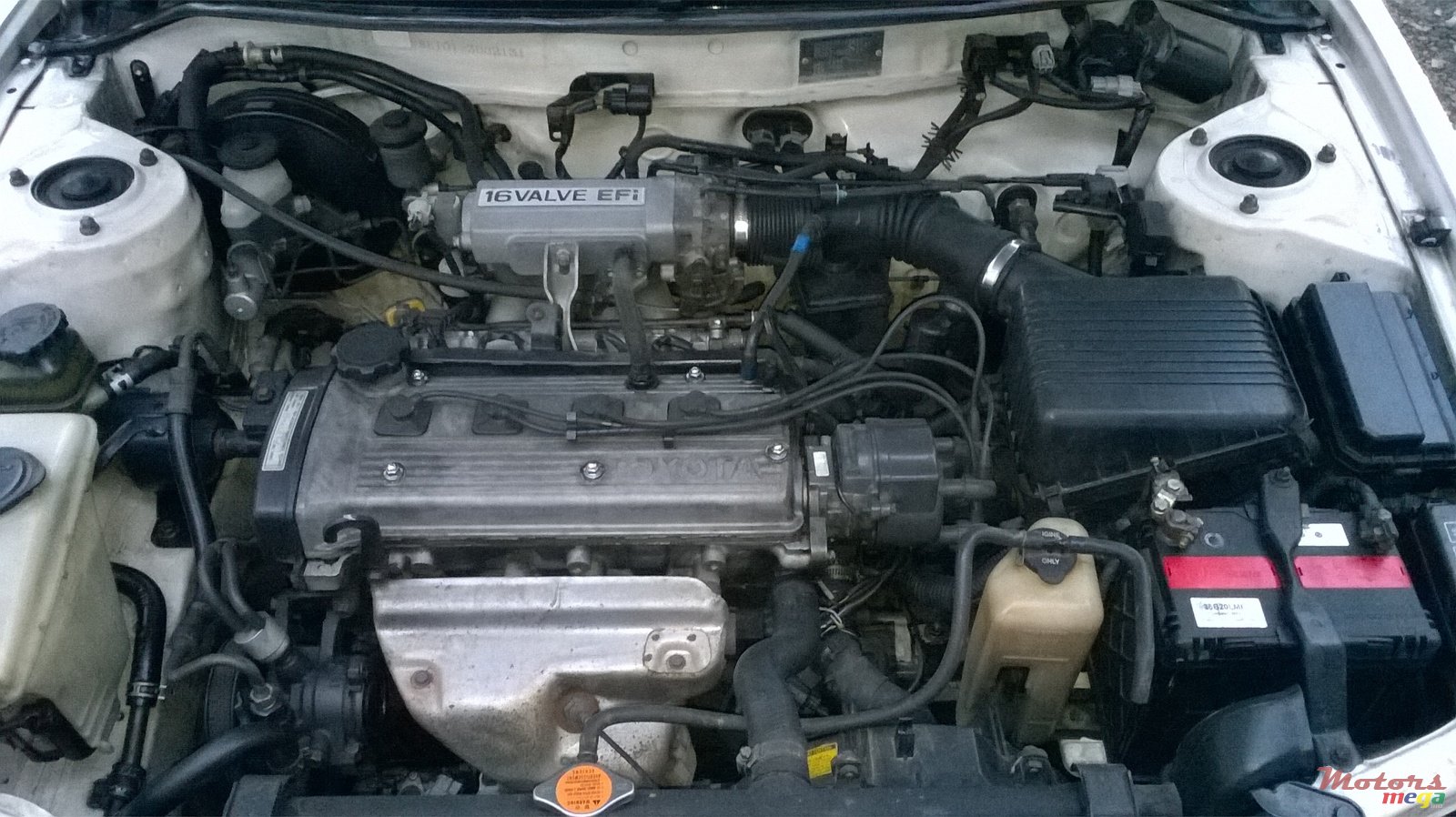 1991' Toyota Corolla photo #5