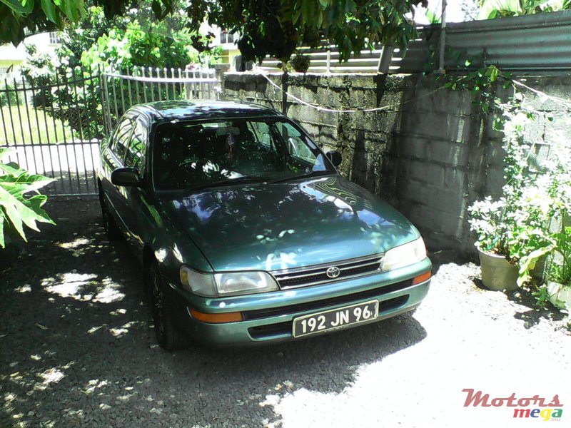 1996' Toyota Corolla ee100 photo #1