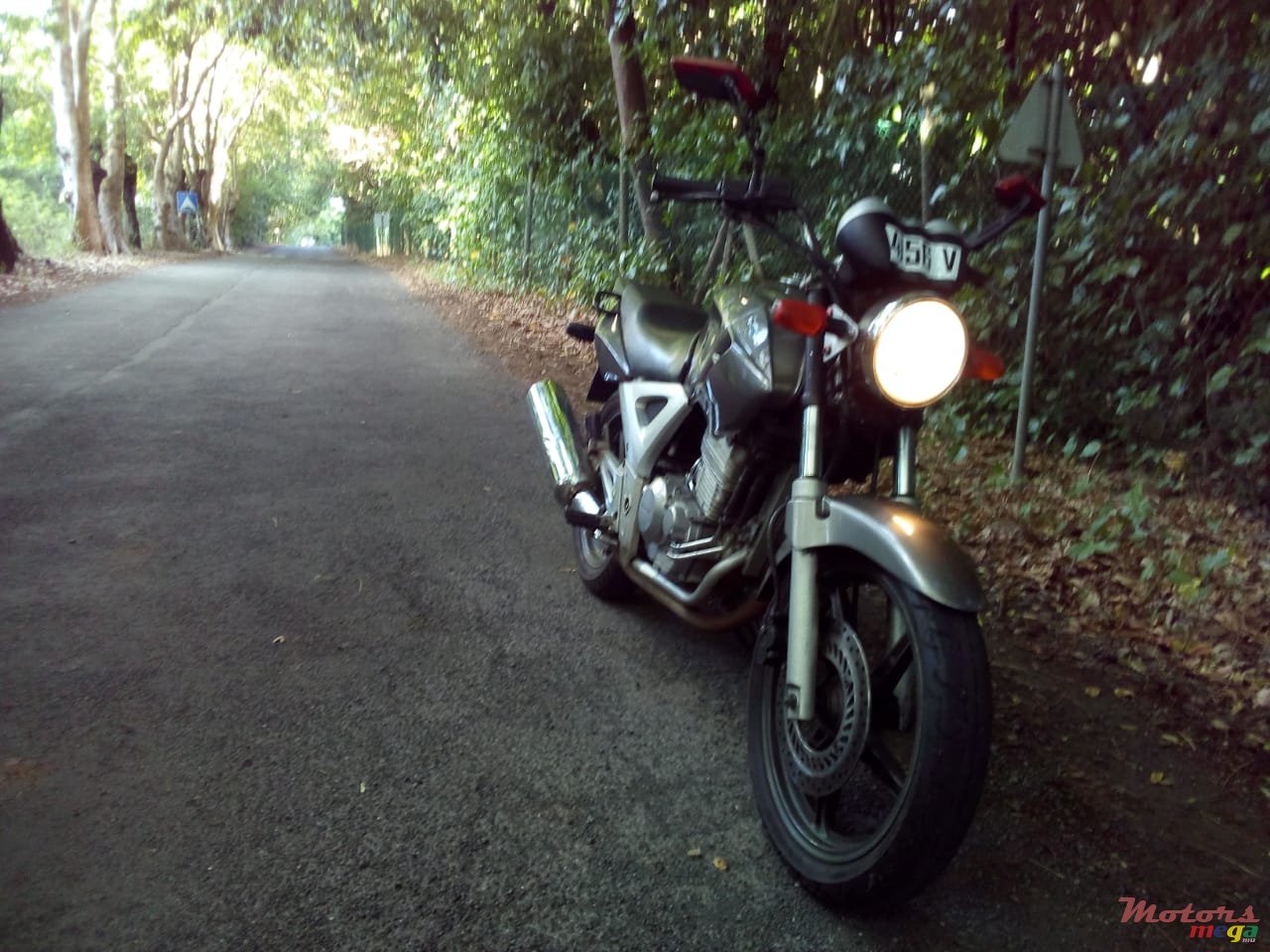 2010' Honda photo #1