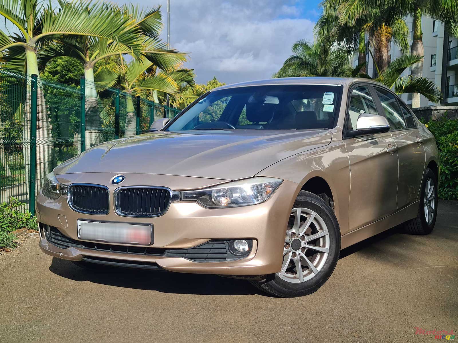 2013' BMW 316 i photo #2