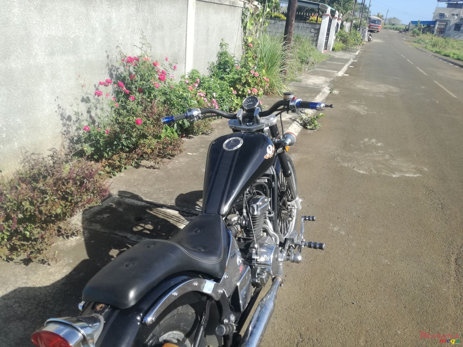 2010' Regal-Raptor photo #2