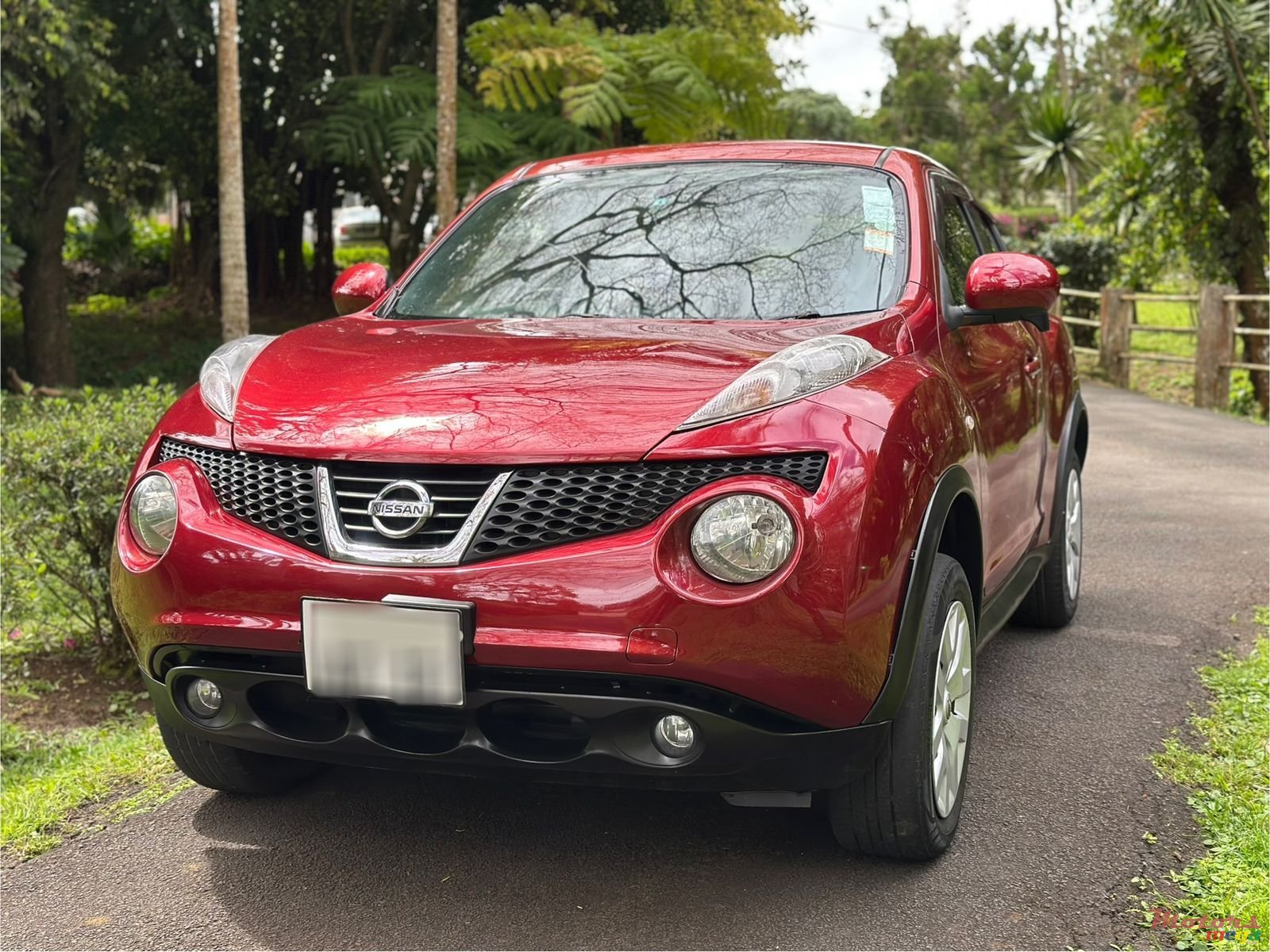 2012' Nissan Juke photo #2