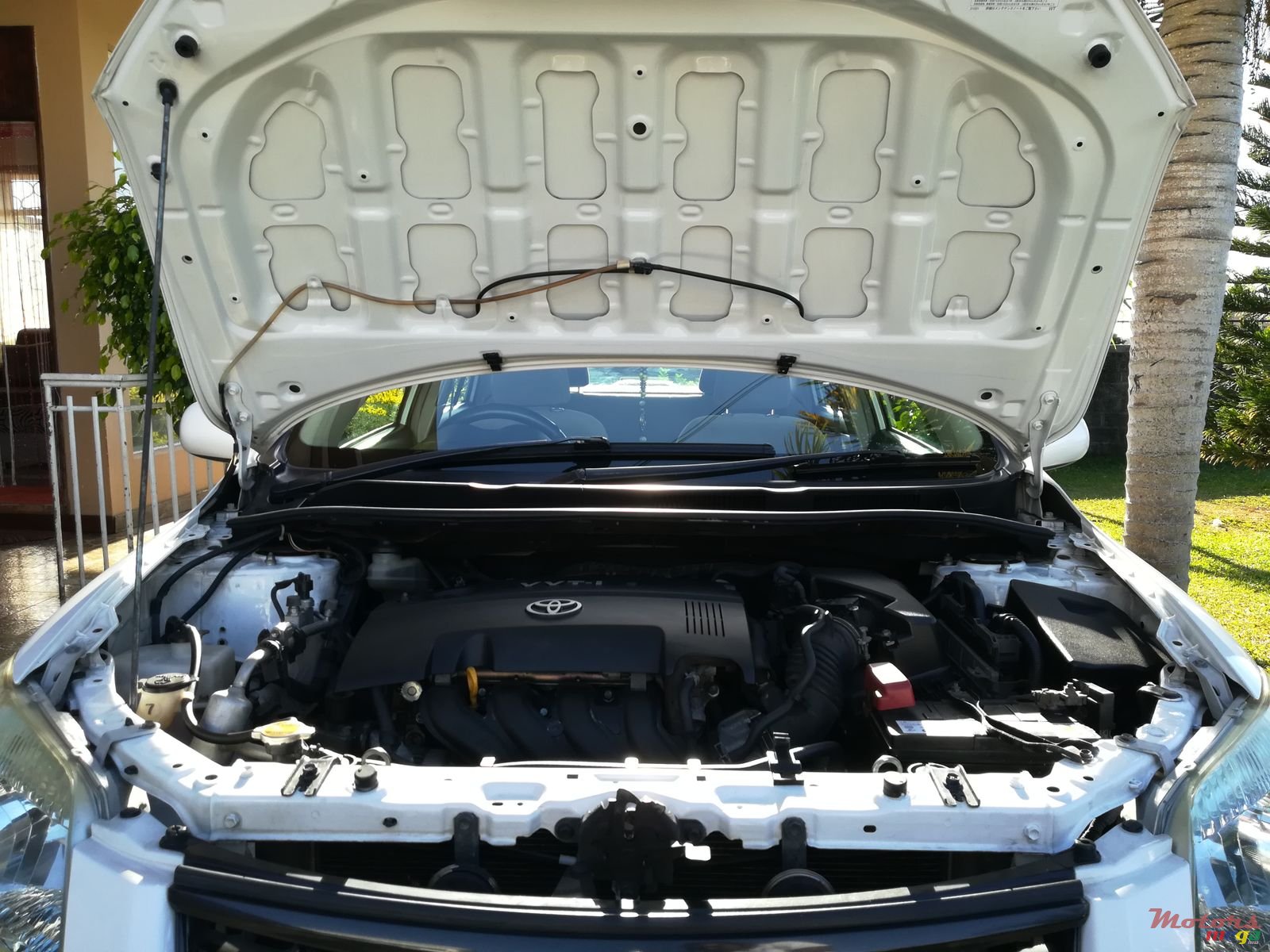 2009' Toyota Axio 2009 photo #3