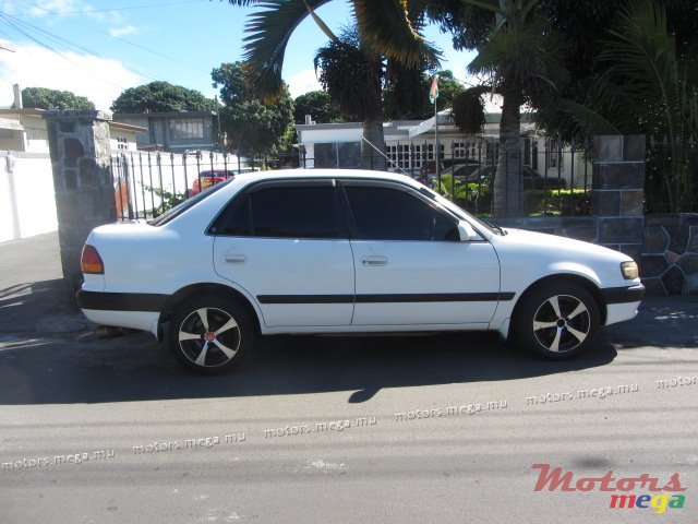 1995' Toyota Corolla photo #2