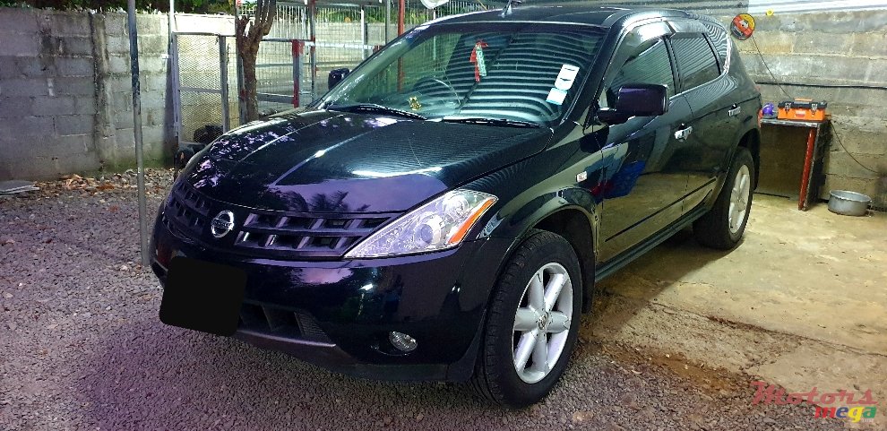 2004' Nissan Murano photo #1