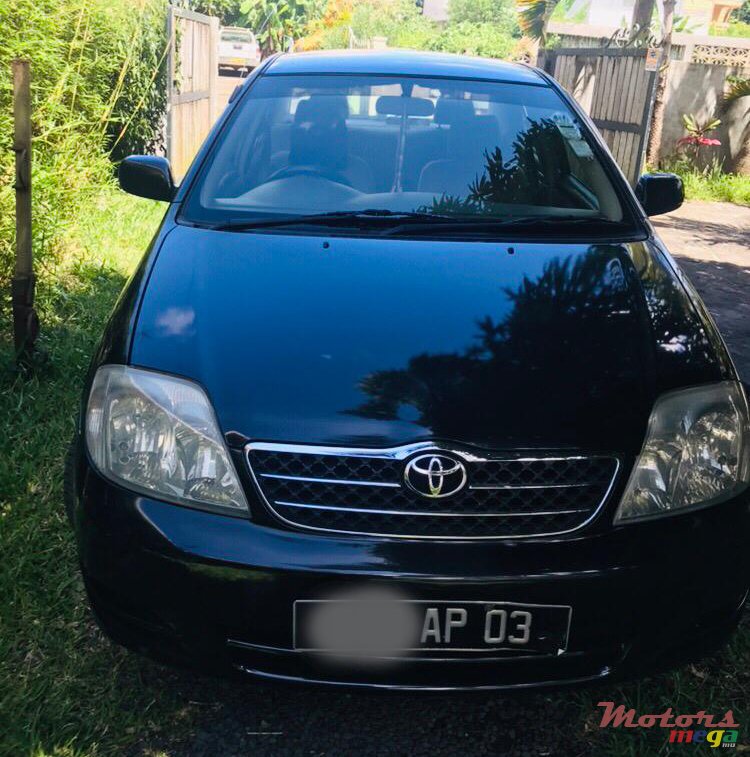 2003' Toyota Corolla photo #5