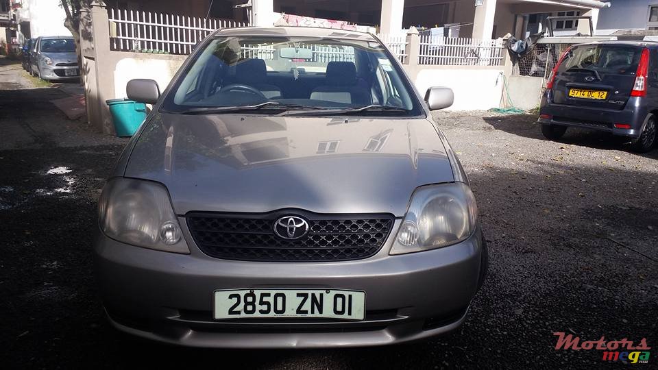 2001' Toyota Corolla NZE photo #1