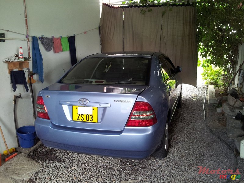 2003' Toyota Corolla nze photo #2