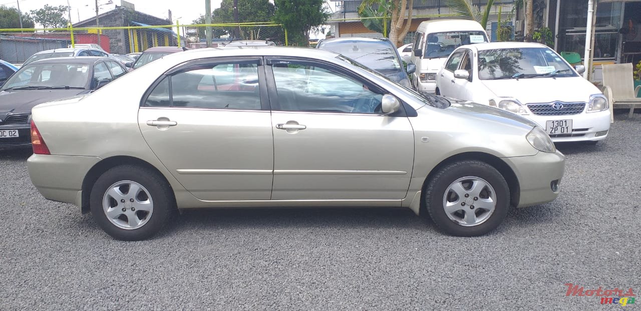 2005' Toyota Corolla NZE photo #4