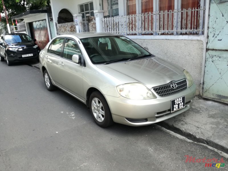 2002' Toyota Corolla photo #2