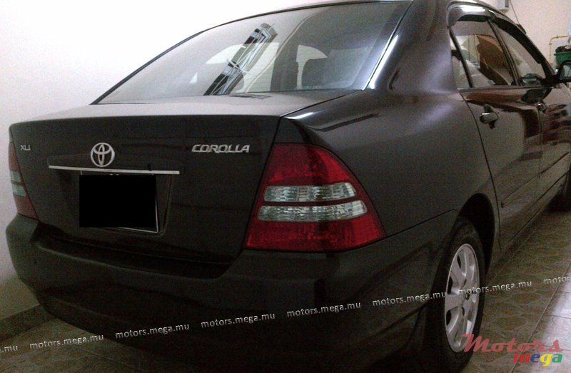 2003' Toyota Corolla XLI photo #2