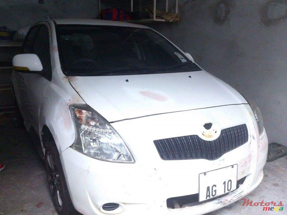 2010' GWM Florid photo #1